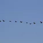 ゲストハウス Floating アムステルダム