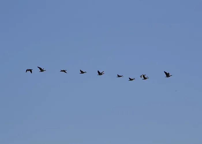 Maison d'hôtes Floating Amsterdam