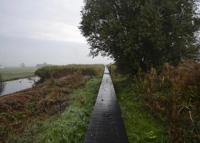 Floating 3* 암스테르담