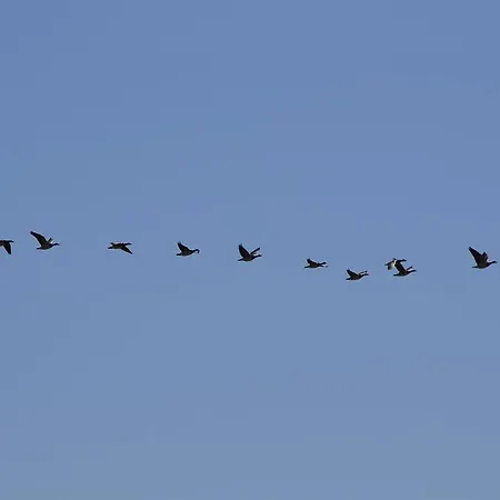 Гостевой дом Floating Амстердам